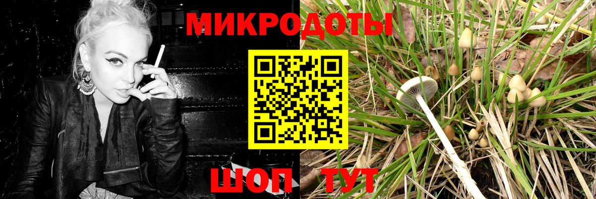 Саяногорск  Галлюциногенные грибы Magic Shrooms  Вход с VPN 